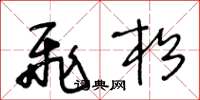 王冬龄飞松草书怎么写