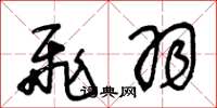 王冬龄飞羽草书怎么写