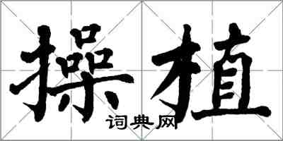 翁闿运操植楷书怎么写