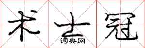庞中华术士冠行书怎么写