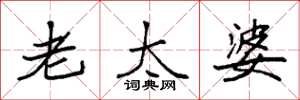 袁强老太婆楷书怎么写