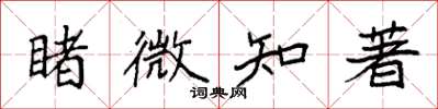 袁强睹微知著楷书怎么写