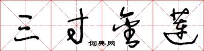 王冬龄三寸金莲草书怎么写