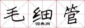 袁强毛细管楷书怎么写