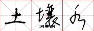 王冬龄土壤水草书怎么写