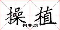 袁强操植楷书怎么写