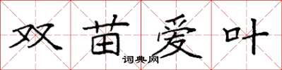 袁强双苗爱叶楷书怎么写