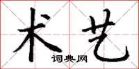 丁谦术艺楷书怎么写