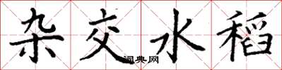 丁谦杂交水稻楷书怎么写