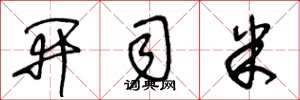 王冬龄开司米草书怎么写
