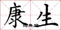 丁谦康生楷书怎么写