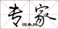 曾庆福专家行书怎么写