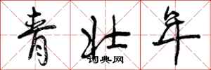 曾庆福青壮年行书怎么写