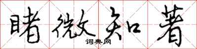 曾庆福睹微知著行书怎么写