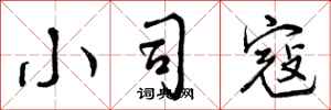 曾庆福小司寇行书怎么写