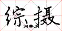 曾庆福综摄行书怎么写