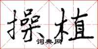 曾庆福操植行书怎么写