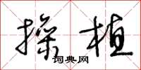 王冬龄操植草书怎么写
