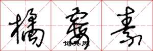 王冬龄橘霉素草书怎么写