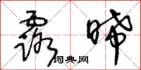 王冬龄露晞草书怎么写