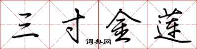 荆霄鹏三寸金莲行书怎么写
