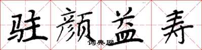 周炳元驻颜益寿楷书怎么写