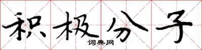 周炳元积极分子楷书怎么写