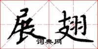 周炳元展翅楷书怎么写