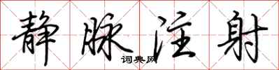 荆霄鹏静脉注射行书怎么写