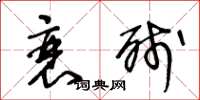 王冬龄衰残草书怎么写