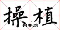 周炳元操植楷书怎么写