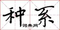 周炳元种系楷书怎么写