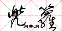 王冬龄兜箩草书怎么写