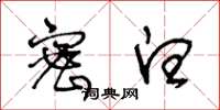 王冬龄密白草书怎么写