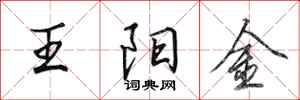田英章王阳金行书怎么写