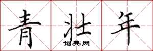 田英章青壮年楷书怎么写