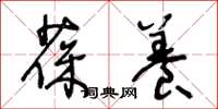 王冬龄葆养草书怎么写