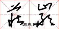 刘少英庄严草书怎么写