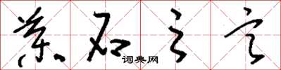 刘少英药石之言草书怎么写