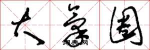 刘少英大气圈草书怎么写