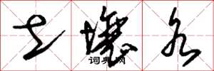 刘少英土壤水草书怎么写