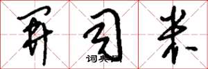 刘少英开司米草书怎么写