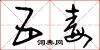 刘少英五毒草书怎么写