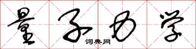 王冬龄量子力学草书怎么写