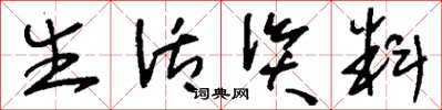 刘少英生活资料草书怎么写