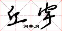 刘少英丘宇草书怎么写