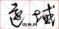刘少英远域草书怎么写