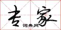 段相林专家行书怎么写
