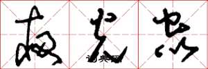刘少英夜光虫草书怎么写