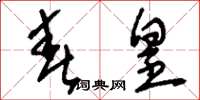 刘少英春皇草书怎么写
